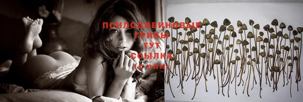 соль ск Белокуриха