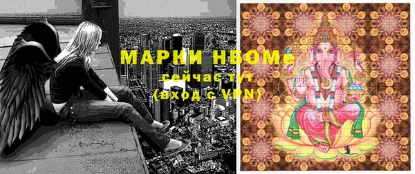 шишки Ростов