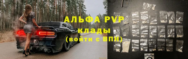шишки Ростов